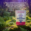 CBD gummies package on a natural background with a testimonial from Debbie R.